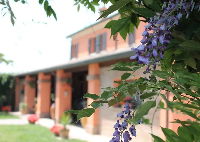 农家乐 美勒拉农家乐 鲁比科内河畔萨维纳诺