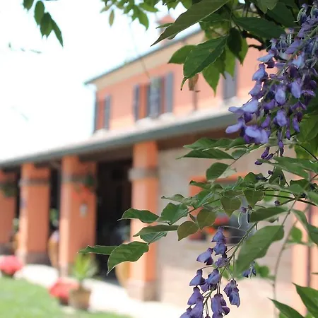 Farm stay Maloura Savignano sul Rubicone
