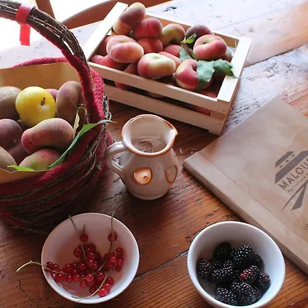 Maloura Savignano sul Rubicone