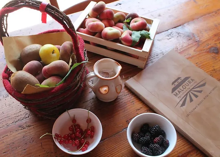 Maloura Savignano sul Rubicone